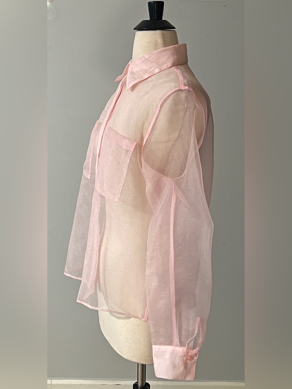 Rachel Zoe Sheer Pink Organza Button Front Blouse Size Small - Picture 3 of 10
